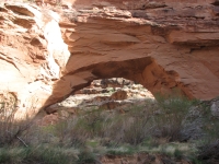 Shaw Arch